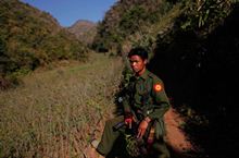 Уничтожение маковых полей в Мьянме